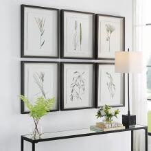 Forest Finds-Botanical Prints