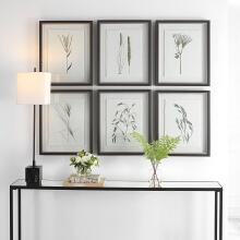 Forest Finds-Botanical Prints