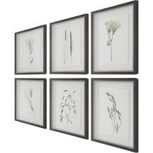 Forest Finds-Botanical Prints