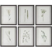 Forest Finds-Botanical Prints
