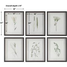 Forest Finds-Botanical Prints