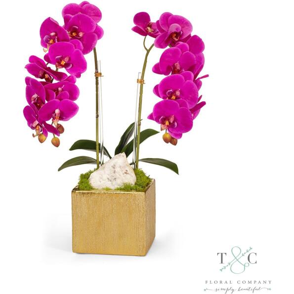 Fuchsia Double Orchid in Gold Square - 10L x 9W x 21H Floral Arrangement