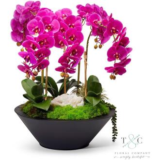 Fuchsia Orchids in Sleek Metal Container - 22L x 22W x 26H Floral Arrangement