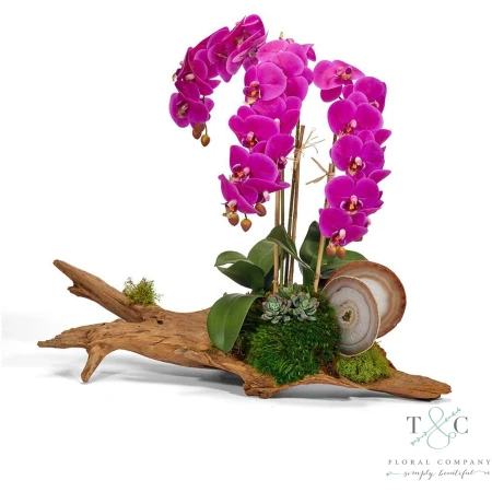 Fuchsia Orchid on Driftwood - 24L X 12W X 25H Floral Arrangement