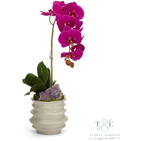 Fuchsia Orchid in White Wavy Pot with Amethyst - 7L x 7W x 22H Floral Arrangement