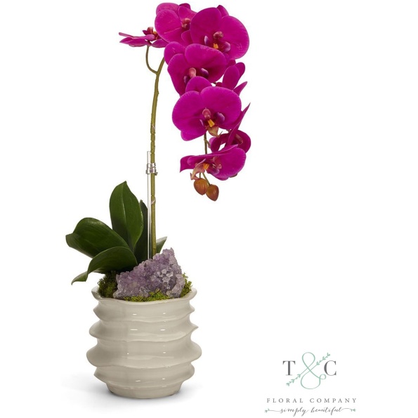 Fuchsia Orchid In White Wavy Pot With Amethyst - 7L X 7W X 22H Floral Arrangement