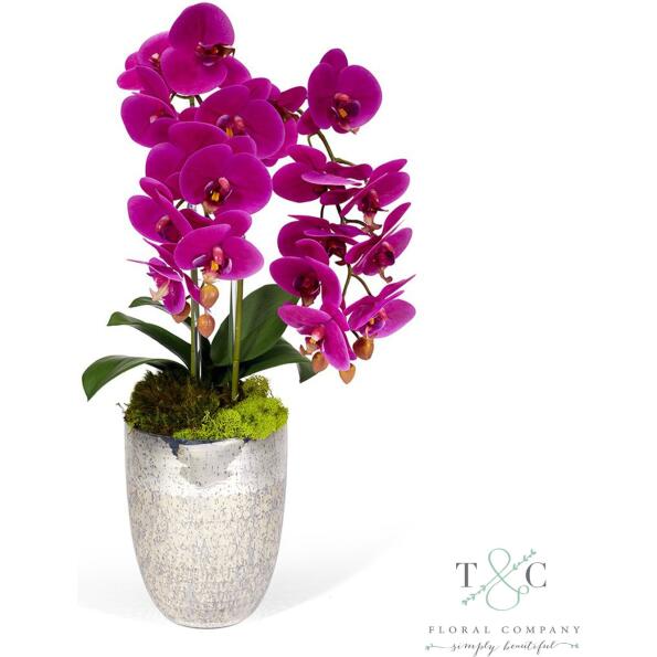 Fuchsia Double Orchid In Vintage Beehive Vase - 23L X 8W X 8H Floral Arrangement