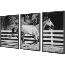 Galloping Forward-Framed Prints