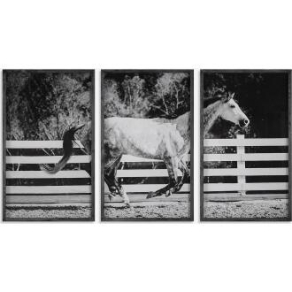 Galloping Forward-Framed Prints