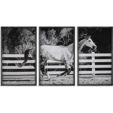 Galloping Forward-Framed Prints