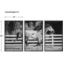 Galloping Forward-Framed Prints