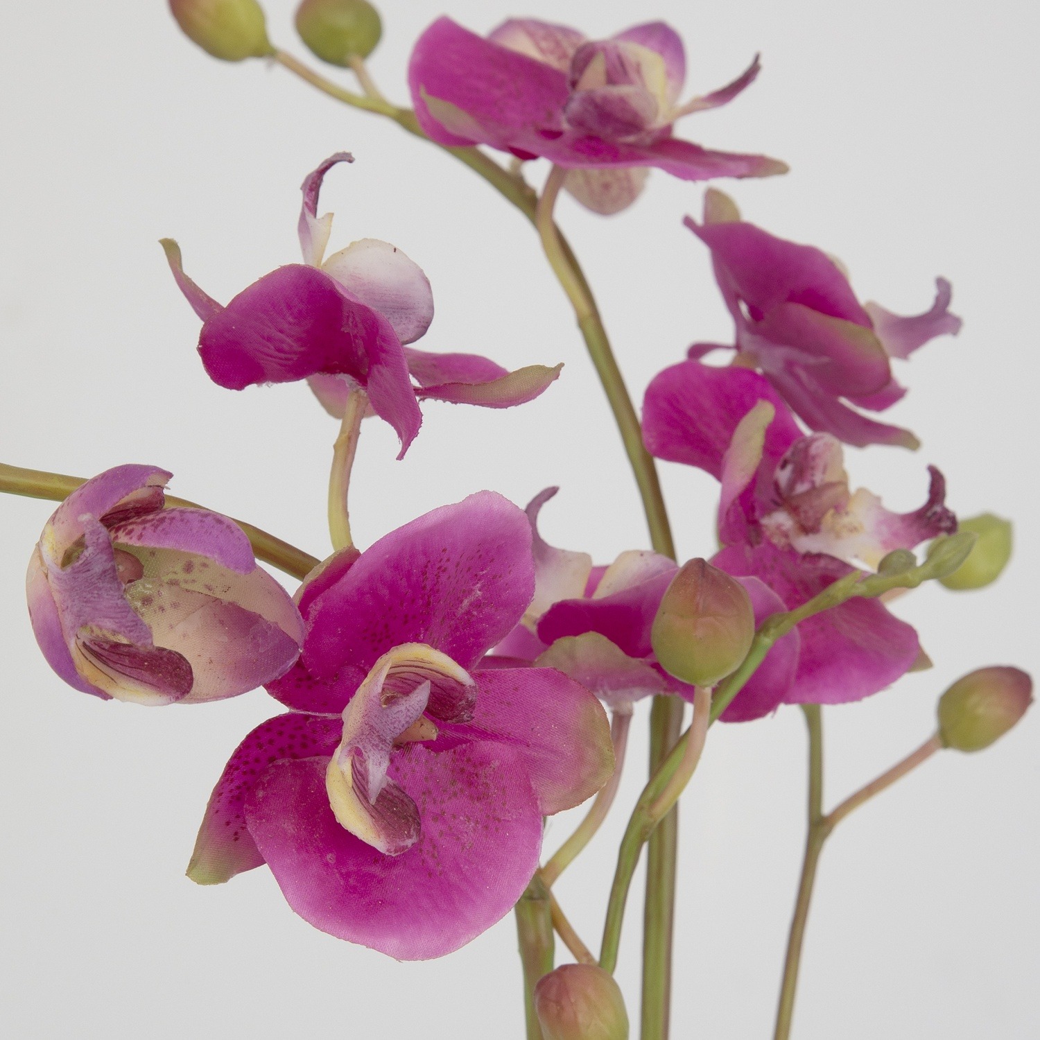 Glory Orchid-Artificial Flowers / Centerpiece
