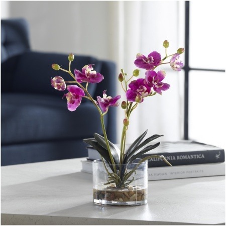 Uttermost Glory Fuchsia Orchid