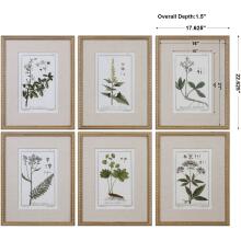 Green Floral Botanical Study-Floral Prints
