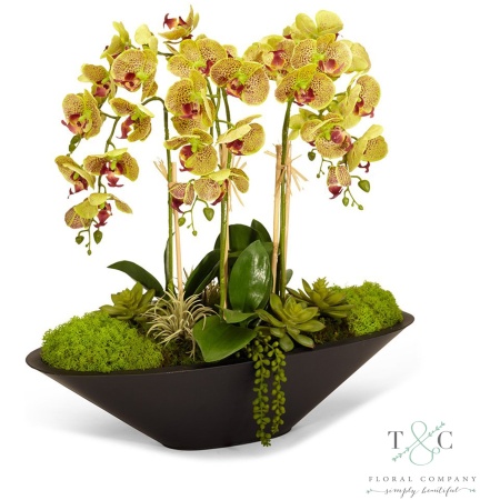 Green Orchid in Large Metal Boat - 26L x 11W x 24H Floral Arrangement