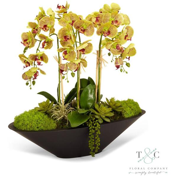 Green Orchid In Large Metal Boat - 26L X 11W X 24H Floral Arrangement