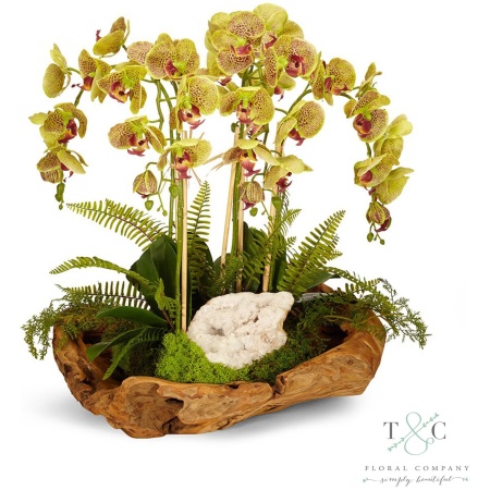 Green Orchid and Geode in Wood Bowl - 20L x 15W x 16H Floral Arrangement