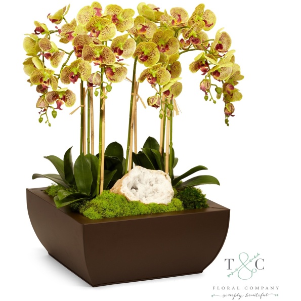 Green Orchid And Geode In Large Metal Box - 21L X 21W X 29H Floral Arrangement