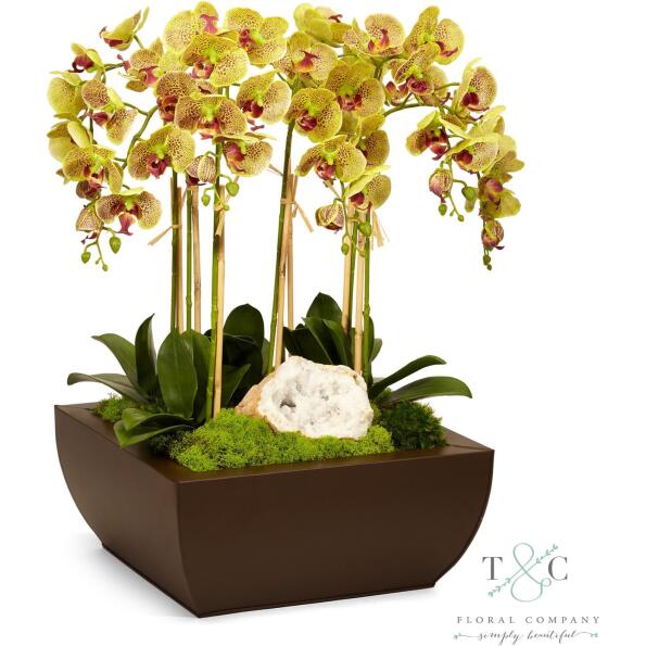 Green Orchid and Geode in Large Metal Box - 21L x 21W x 29H Floral Arrangement