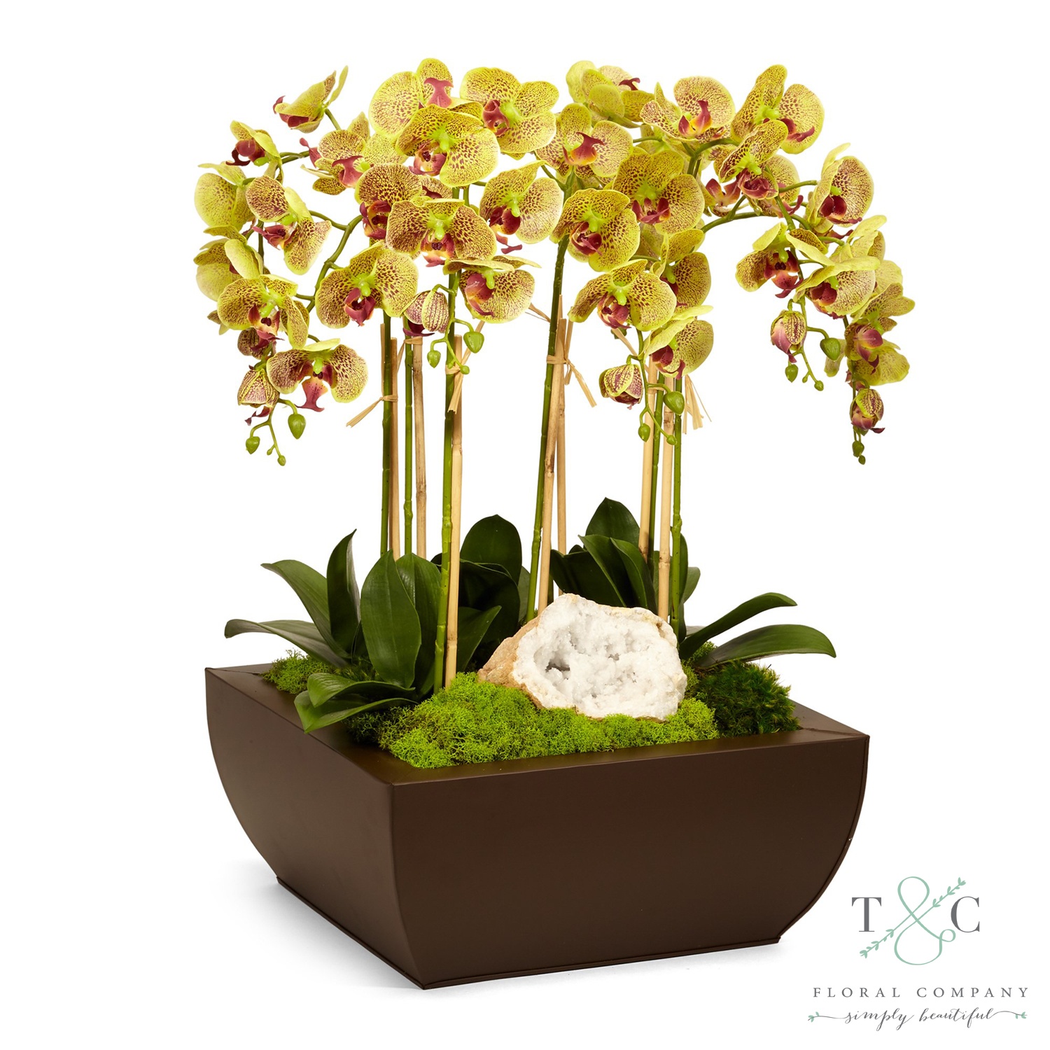 Green Orchid and Geode in Large Metal Box - 21L x 21W x 29H Floral Arrangement
