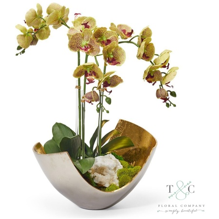 Green Orchids in Two-toned Metal Bowl with Quartz - 23L X 15W X 15H Floral Arrangement