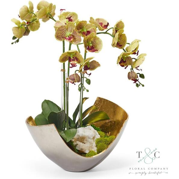 Green Orchids in Two-toned Metal Bowl with Quartz - 23L X 15W X 15H Floral Arrangement