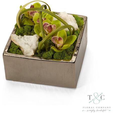 Green Orchid with Quartz Table Top in Silver Square - 8L x 8W x 8H Floral Arrangement