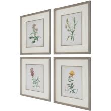 Heirloom Blooms-Botanical Prints