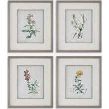 Heirloom Blooms-Botanical Prints