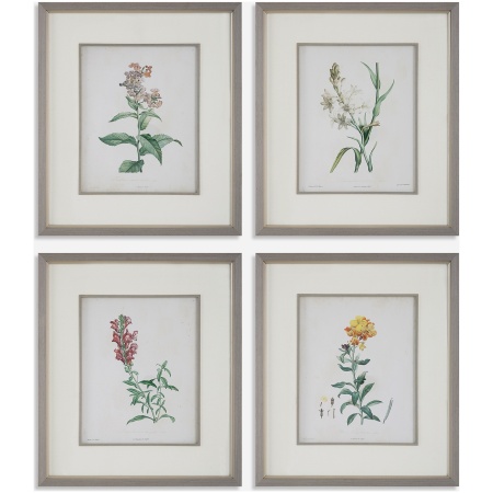 Heirloom Blooms-Botanical Prints