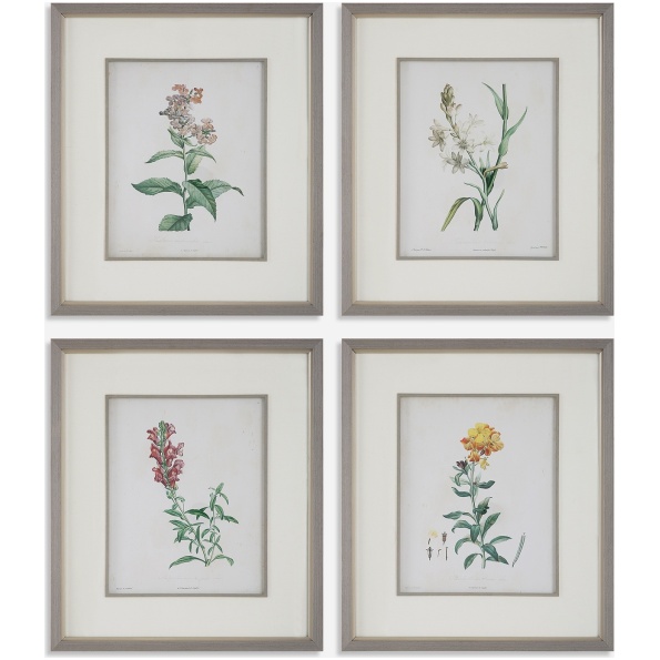 Heirloom Blooms-Botanical Prints