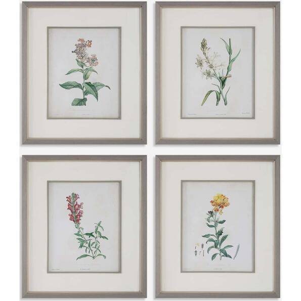 Heirloom Blooms-Botanical Prints