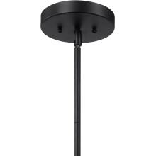Holgate-Pendants