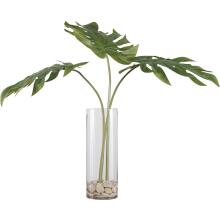 Ibero-Botanicals