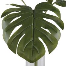 Ibero-Botanicals