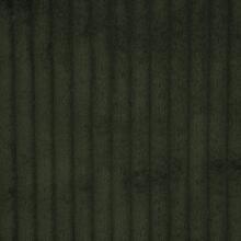 JIVE/EVERGREEN – Fabric