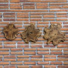 Kalani-Teak Wall Art