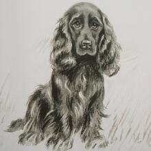 Loyal Companion-Animal Print