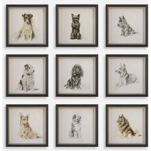 Loyal Companion-Animal Print