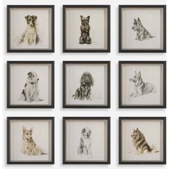 Loyal Companion-Animal Print