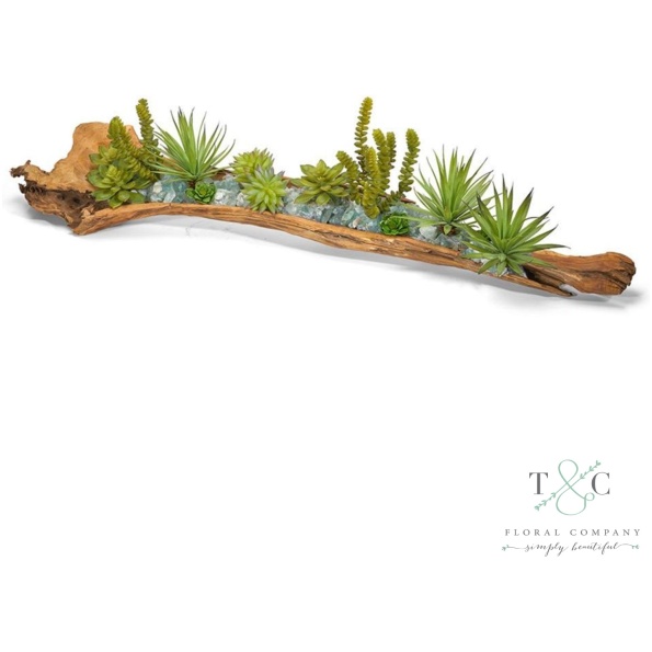 Log Filled With Succulents - 9L X 7W X 36H Floral Arrangement