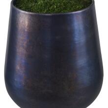 Mari Calla-Botanicals