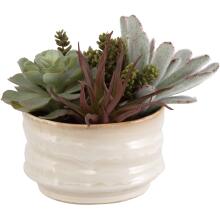 Mesa Succulent-Artificial Flowers / Centerpiece