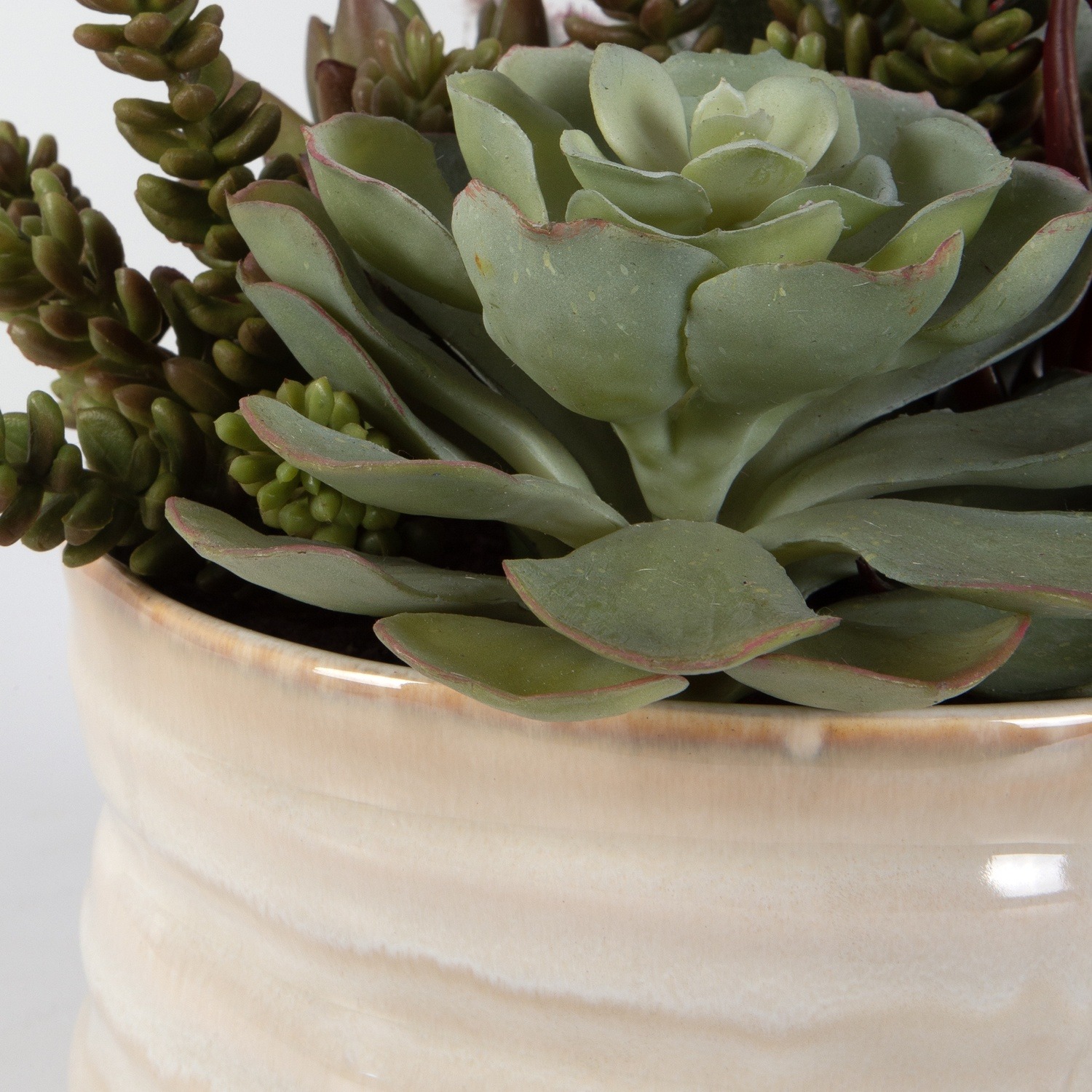Mesa Succulent-Artificial Flowers / Centerpiece