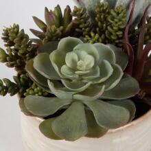Mesa Succulent-Artificial Flowers / Centerpiece