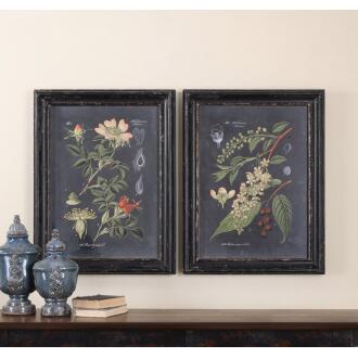 Uttermost Midnight Botanicals Wall Art S/2
