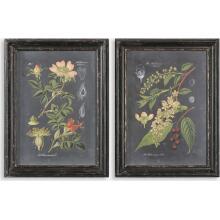 Midnight Botanicals-Wall Art
