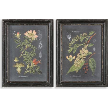 Midnight Botanicals-Wall Art