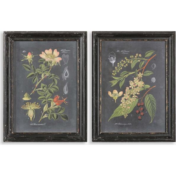 Midnight Botanicals-Wall Art