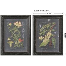 Midnight Botanicals-Wall Art